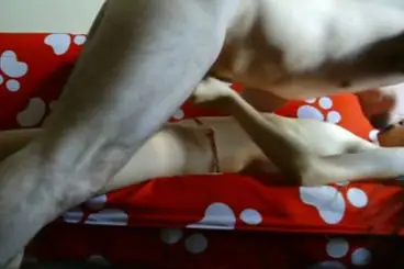 Bokep Ukhti Jilbab Ganas Lulusan Pesantren Liar poster